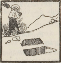illustratie