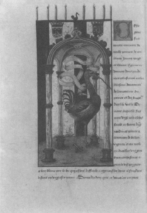 illustratie