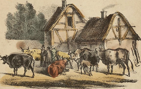 illustratie