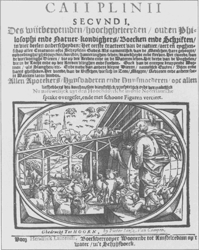 illustratie