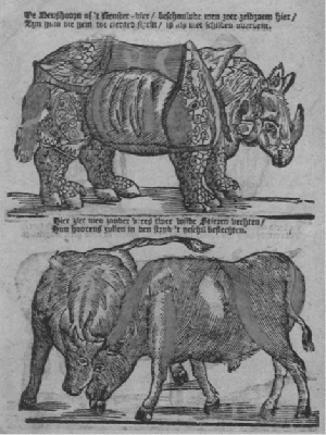 illustratie