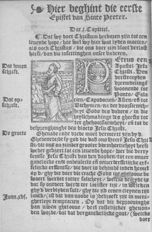 illustratie
