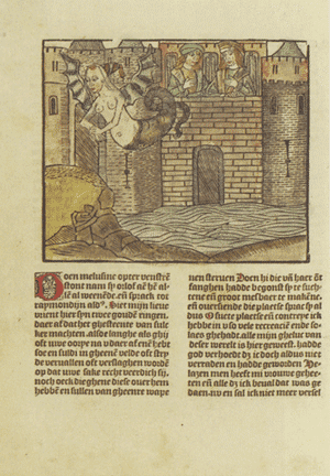 illustratie