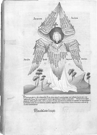 illustratie