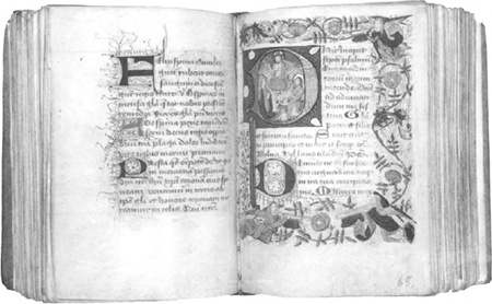 illustratie