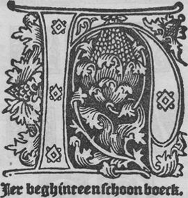 illustratie
