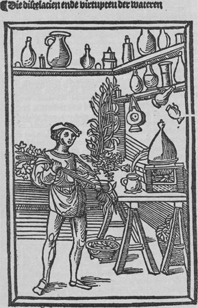 illustratie