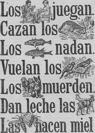 illustratie