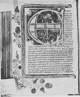 illustratie
