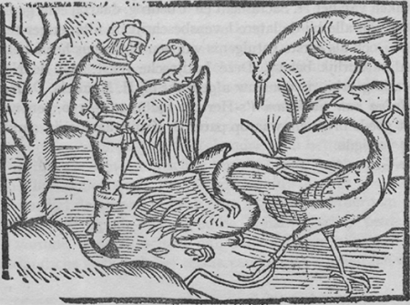 illustratie