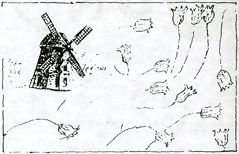 illustratie