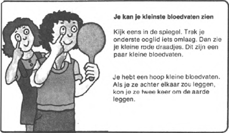 illustratie