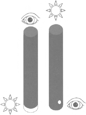 illustratie