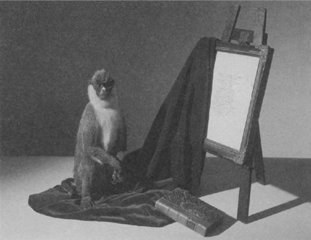illustratie