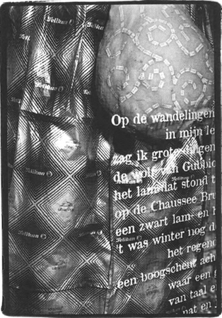 illustratie