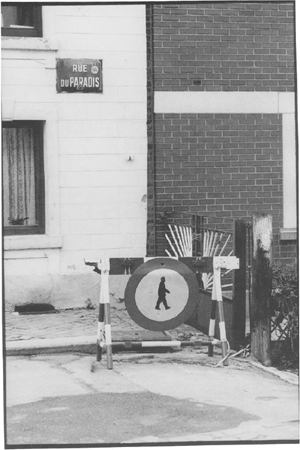 illustratie