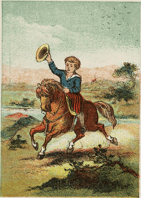 illustratie