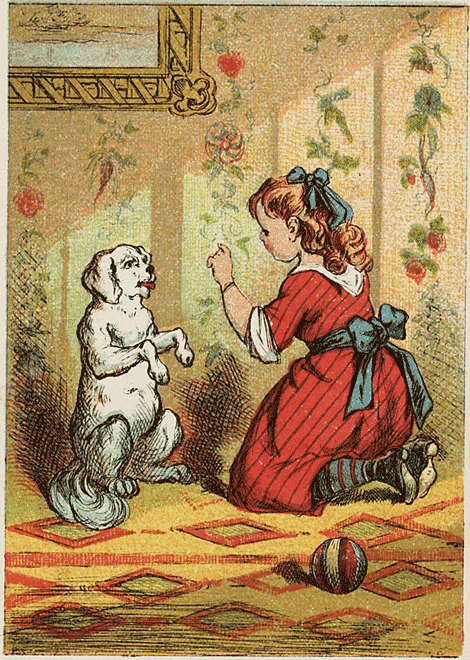illustratie