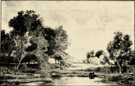 illustratie