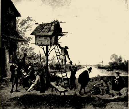 illustratie