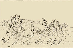 illustratie