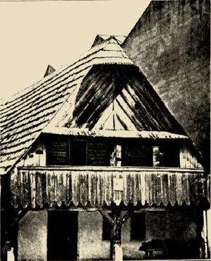 illustratie