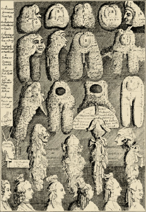 illustratie