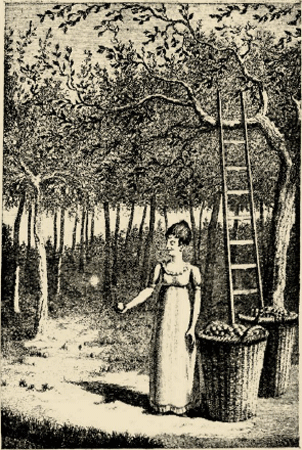 illustratie