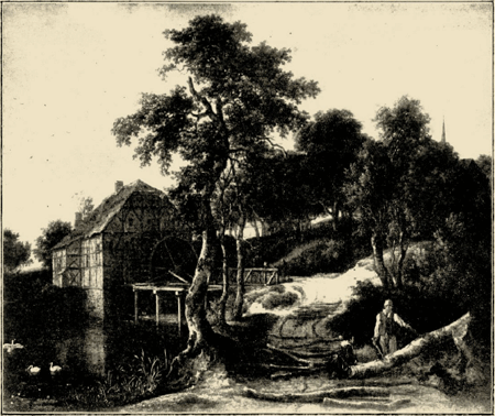 illustratie
