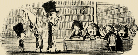 illustratie