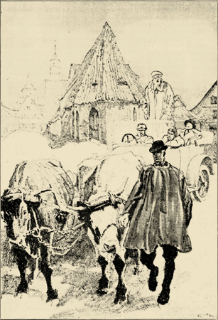 illustratie