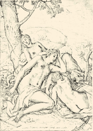illustratie