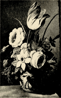 illustratie