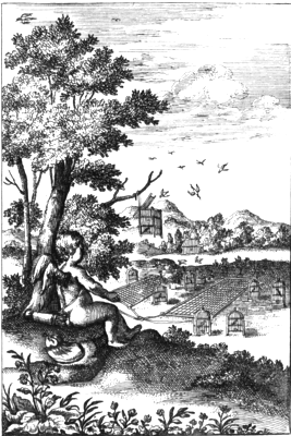 illustratie