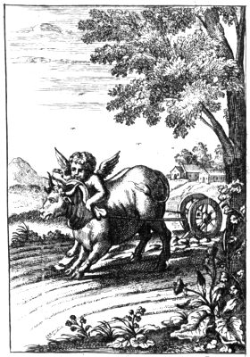 illustratie