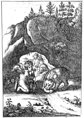 illustratie
