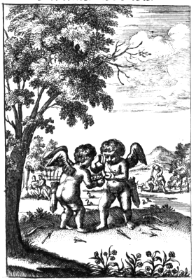 illustratie