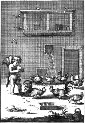 illustratie