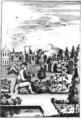 illustratie