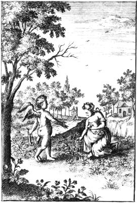 illustratie