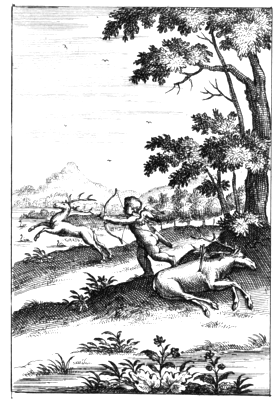 illustratie