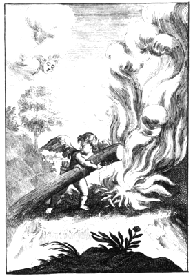 illustratie