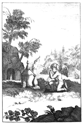 illustratie