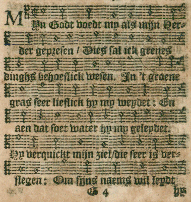illustratie