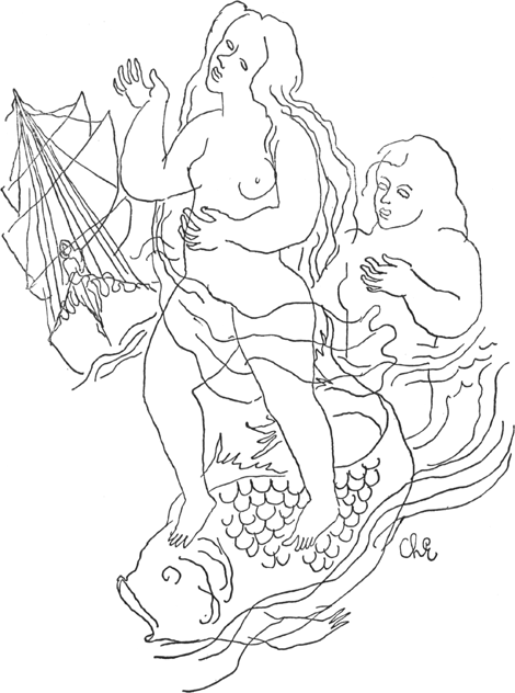 illustratie