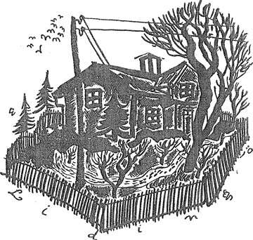 illustratie