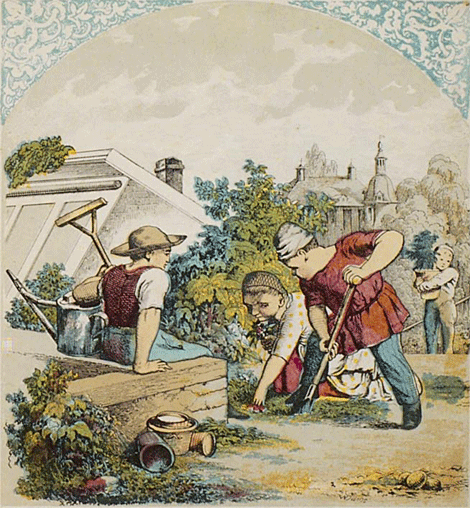 illustratie