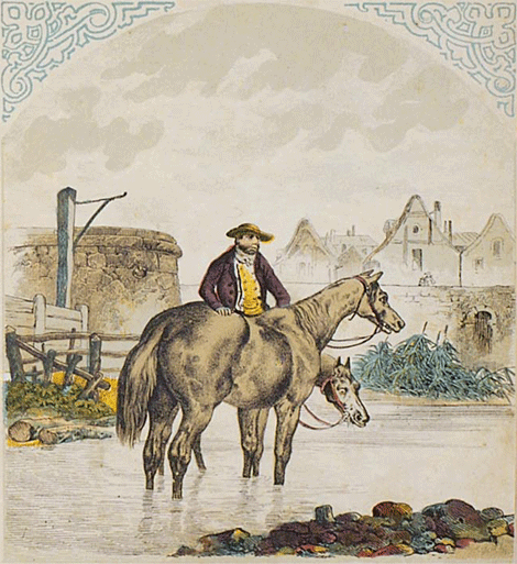 illustratie