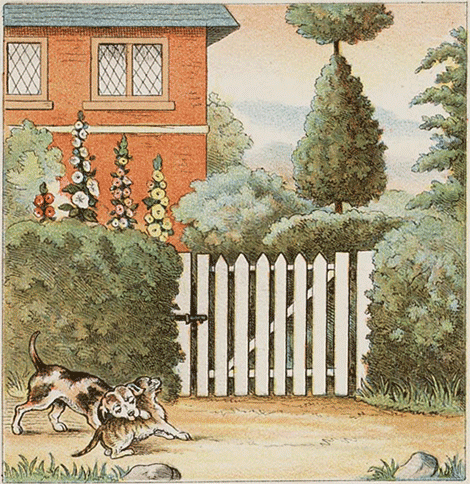 illustratie