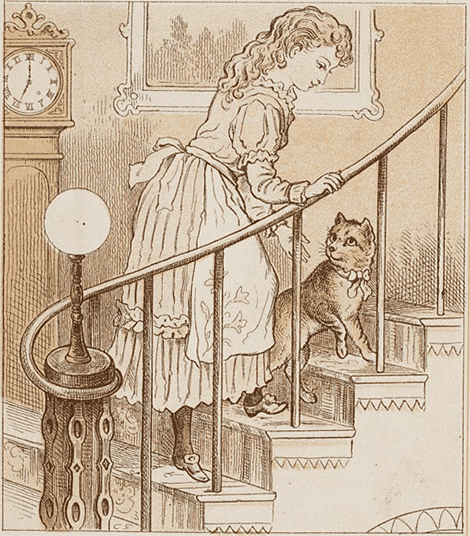 illustratie